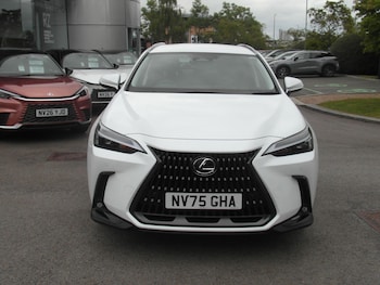 Used Lexus NX 2025 for sale - 79116580: Photo