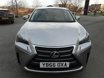 Used Lexus NX 2016 for sale - 77611495: Photo