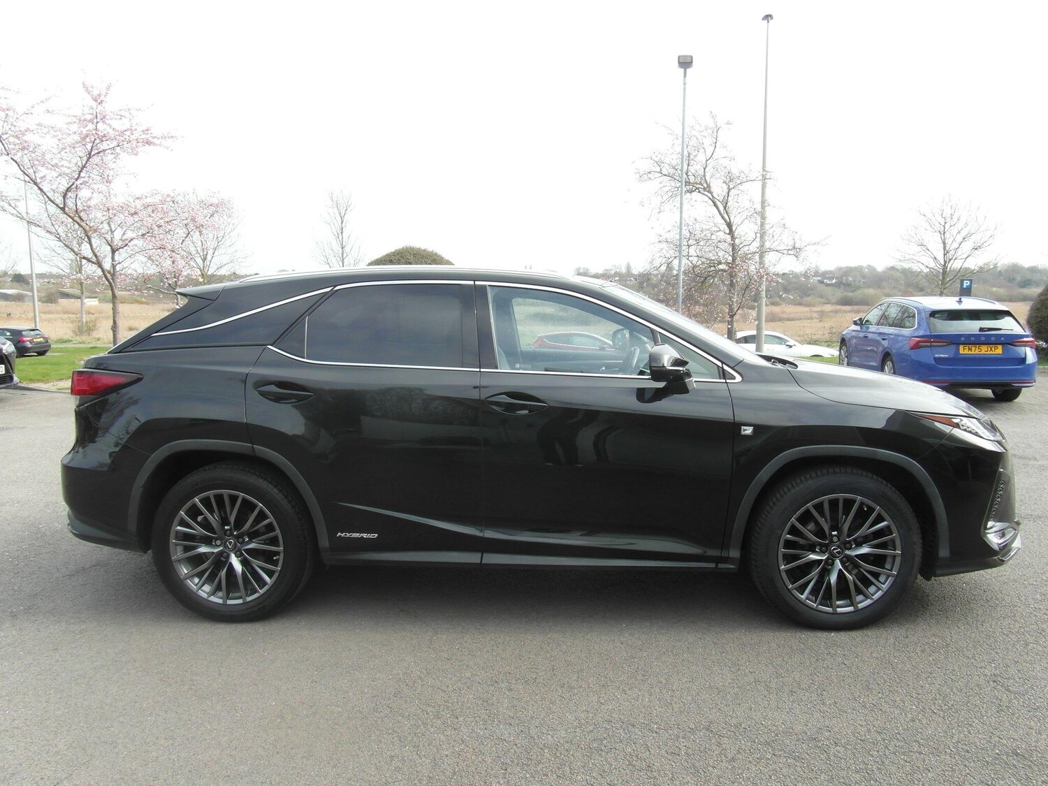 Used Lexus RX 2019 for sale - 78116287: Photo 20