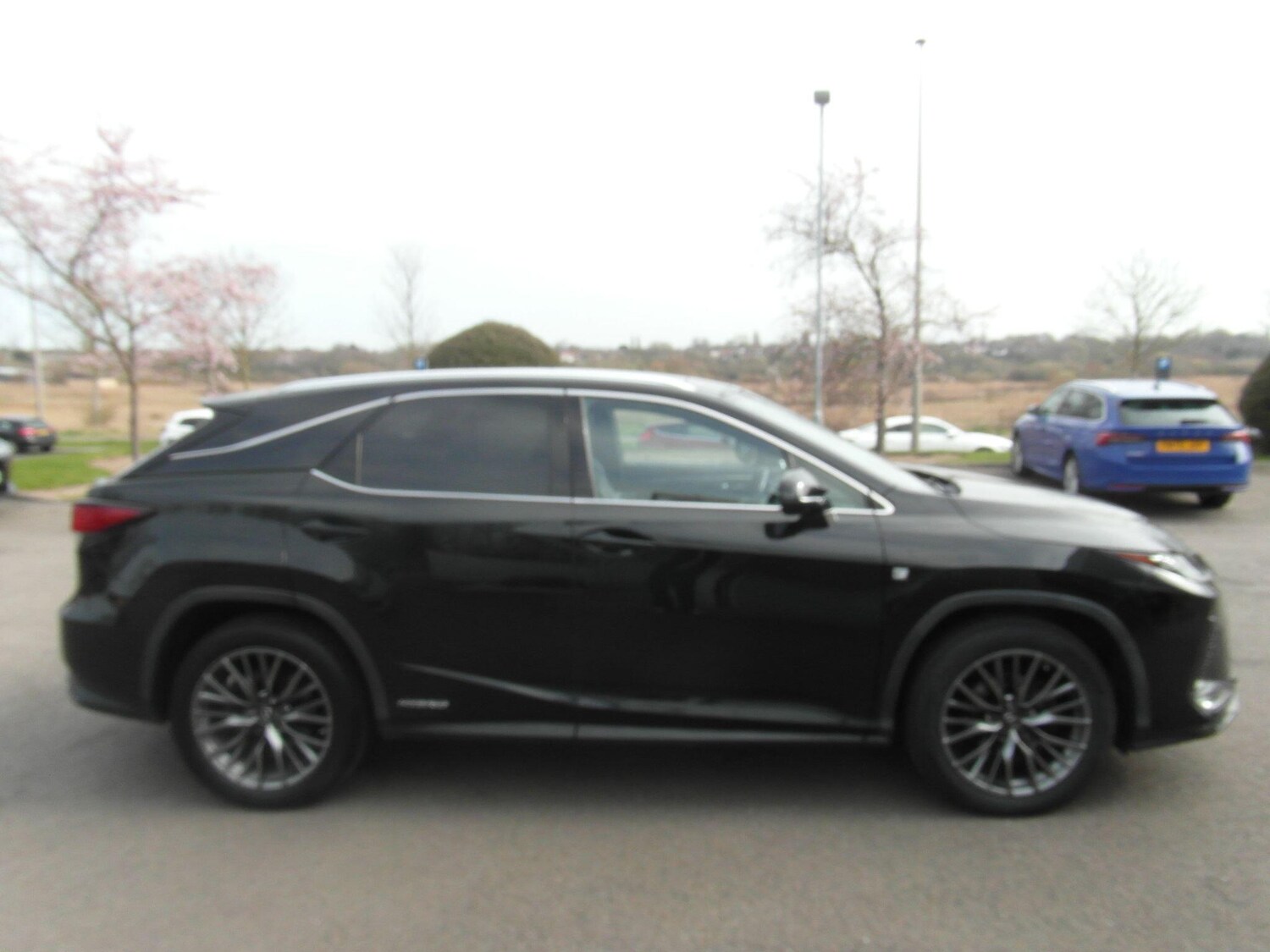 Used Lexus RX 2019 for sale - 78116287: Photo 22