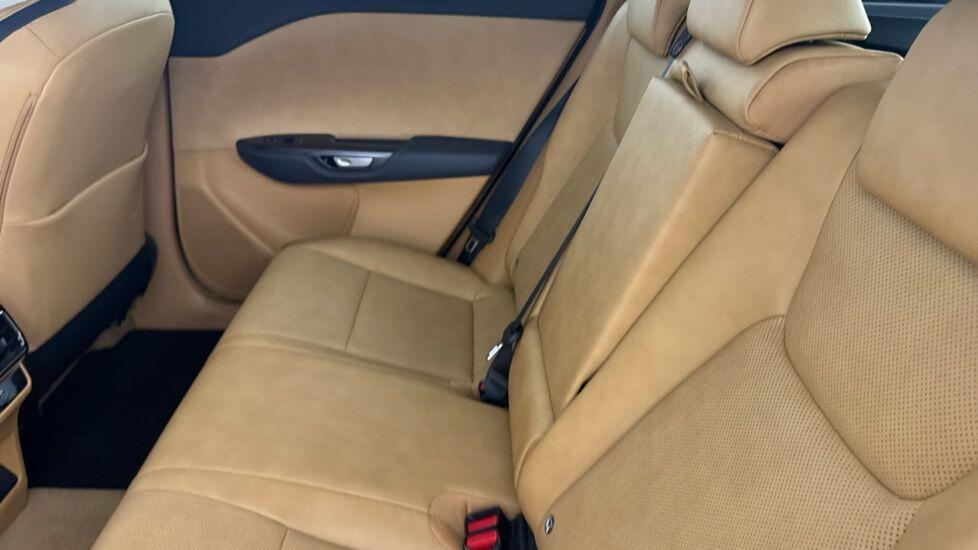 Used Lexus RZ for sale - 76997316: Photo 19