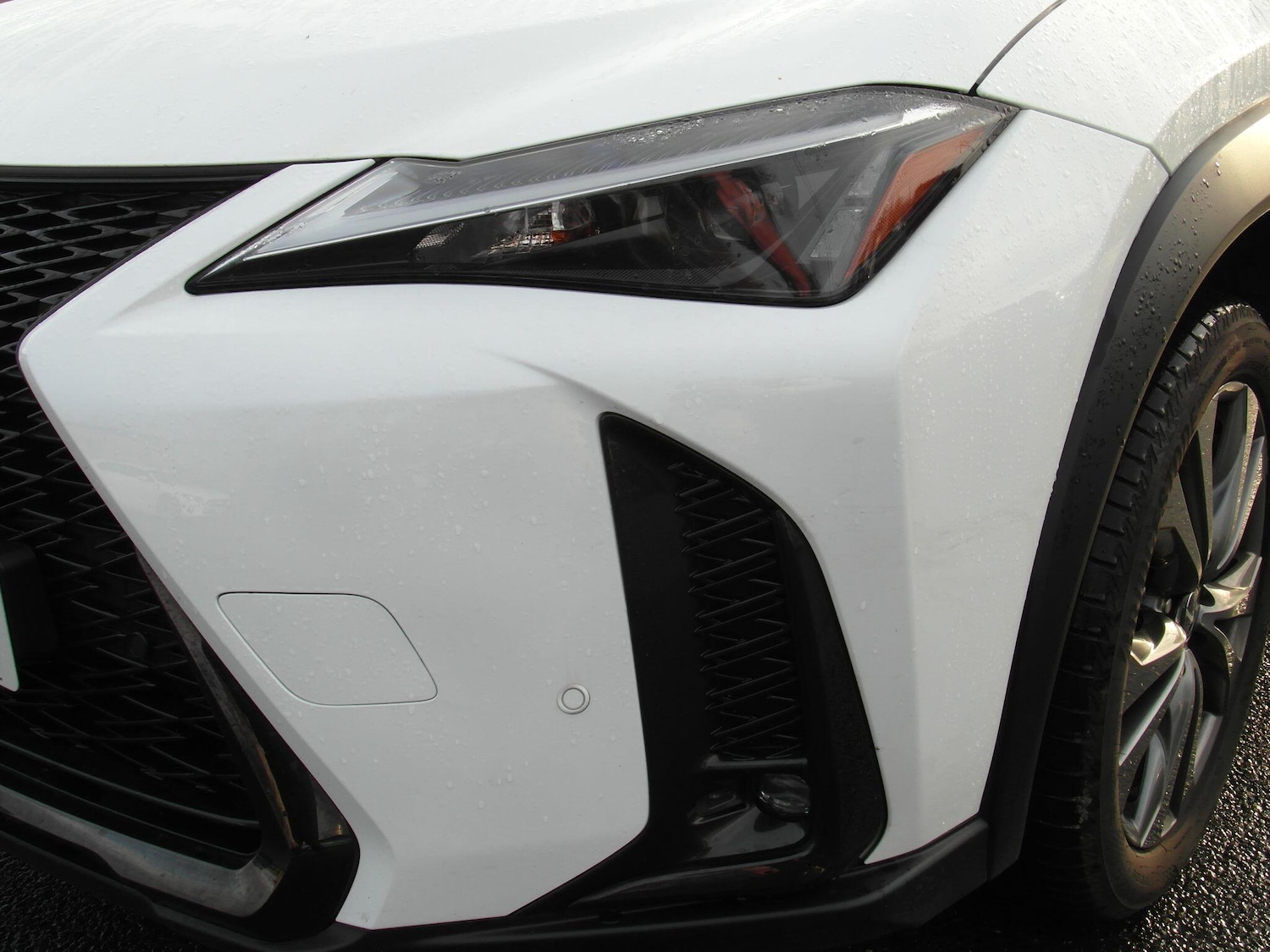 Used Lexus UX 2024 for sale - 76592695: Photo 23