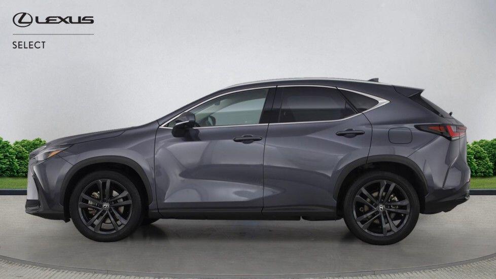 Used Lexus NX for sale - 77705031: Photo 20