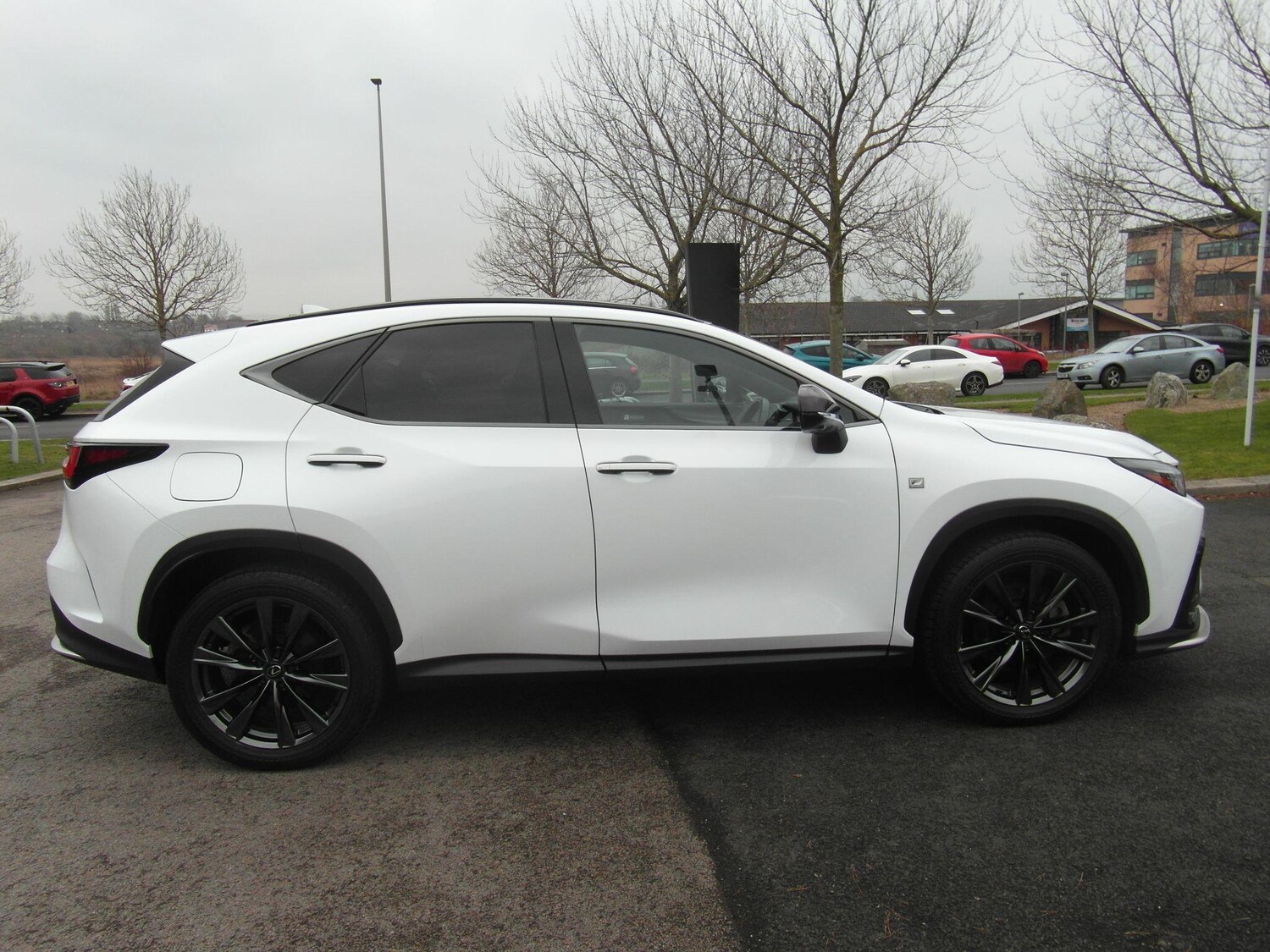 Used Lexus NX for sale - 77425964: Photo 14