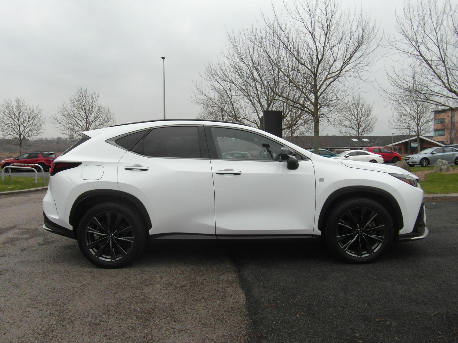 Used Lexus NX for sale - 77425964: Photo 15