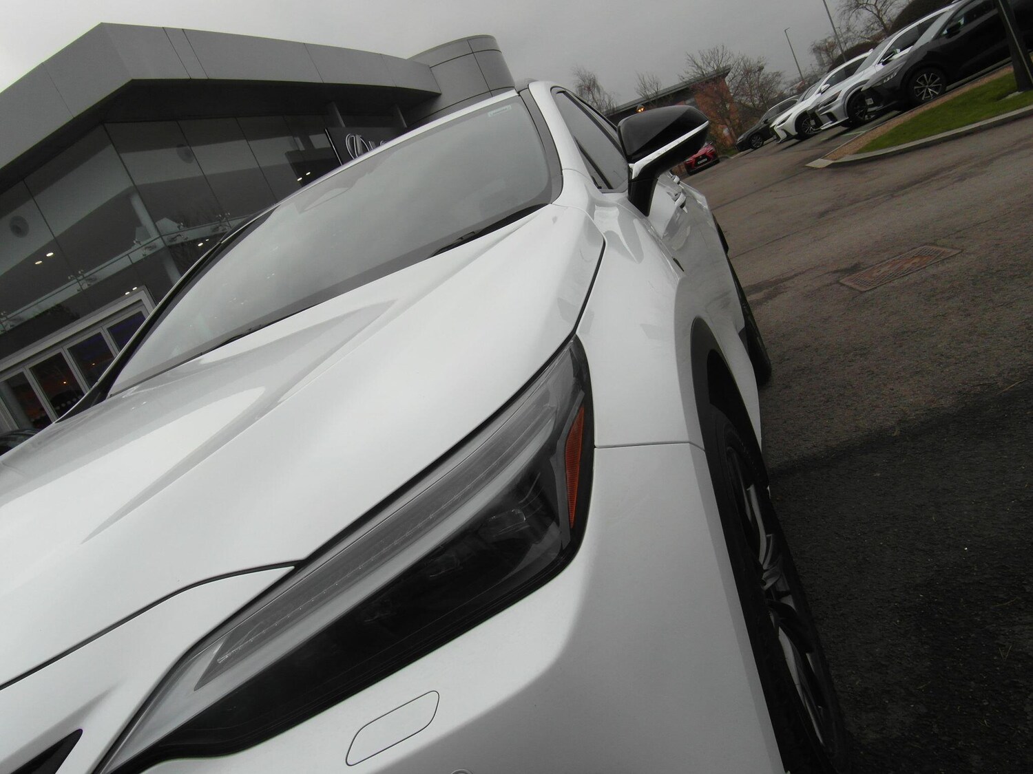 Used Lexus NX for sale - 77425964: Photo 21