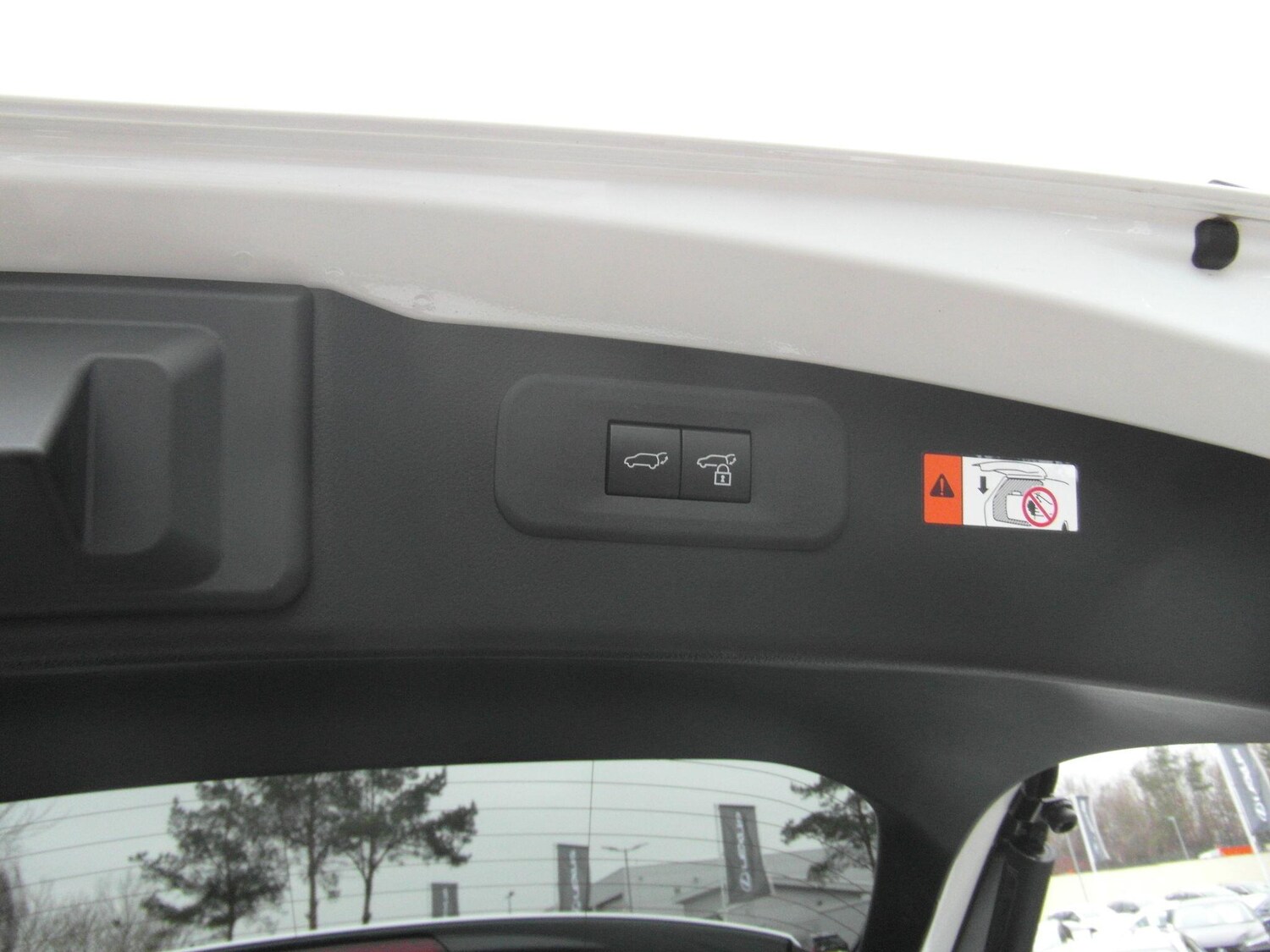 Used Lexus NX for sale - 77425964: Photo 29