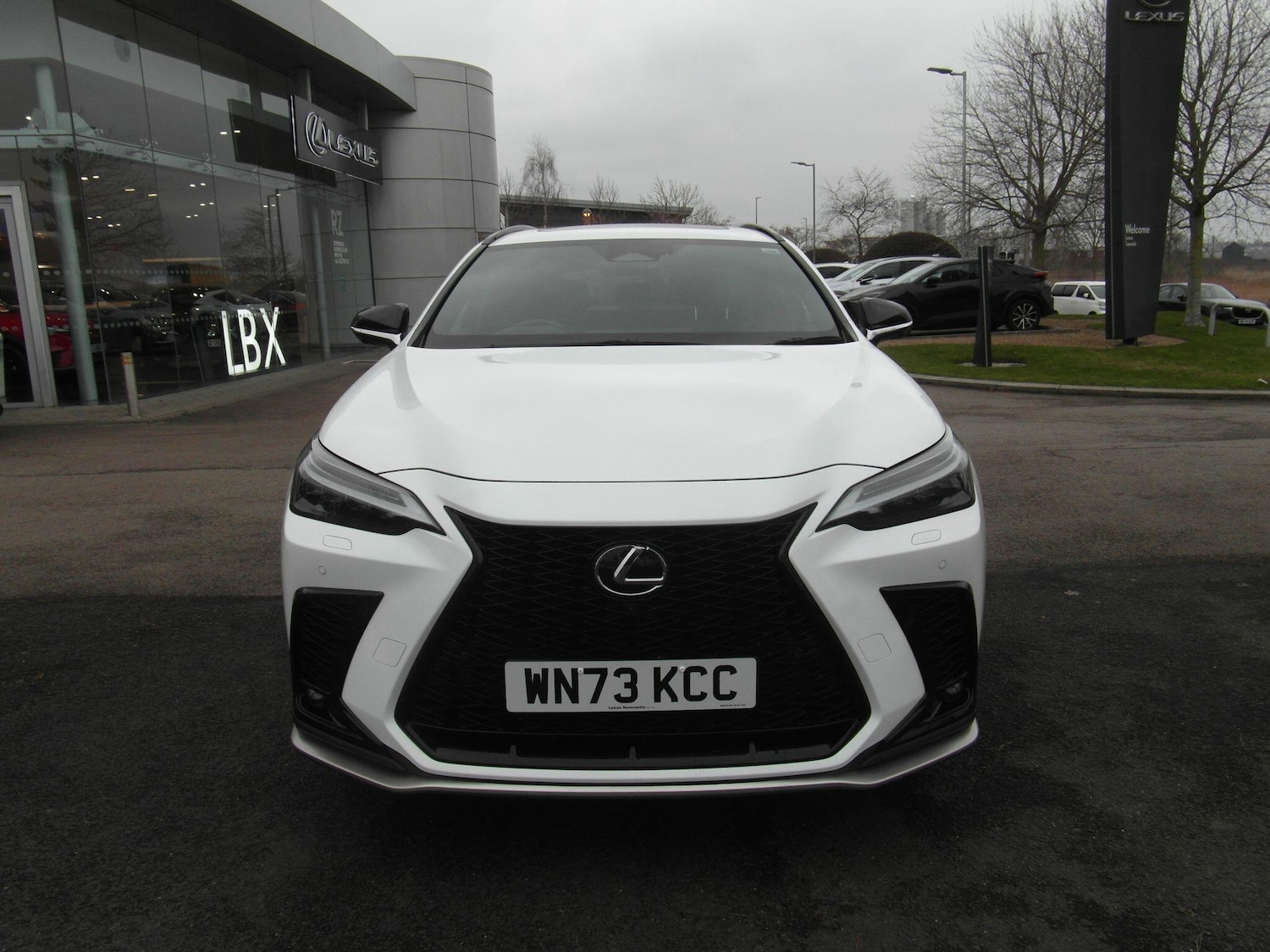 Used Lexus NX for sale - 77425964: Photo 4