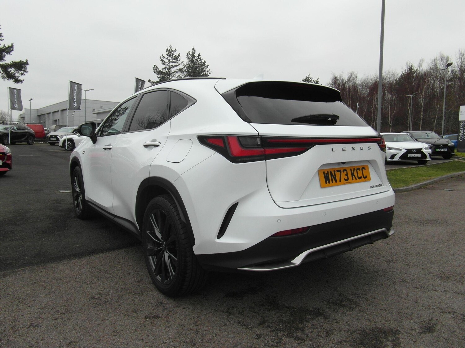 Used Lexus NX for sale - 77425964: Photo 6