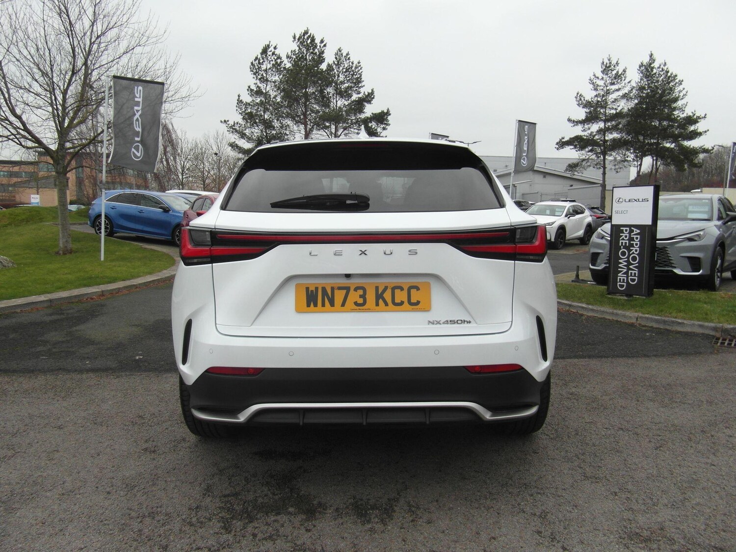 Used Lexus NX for sale - 77425964: Photo 7