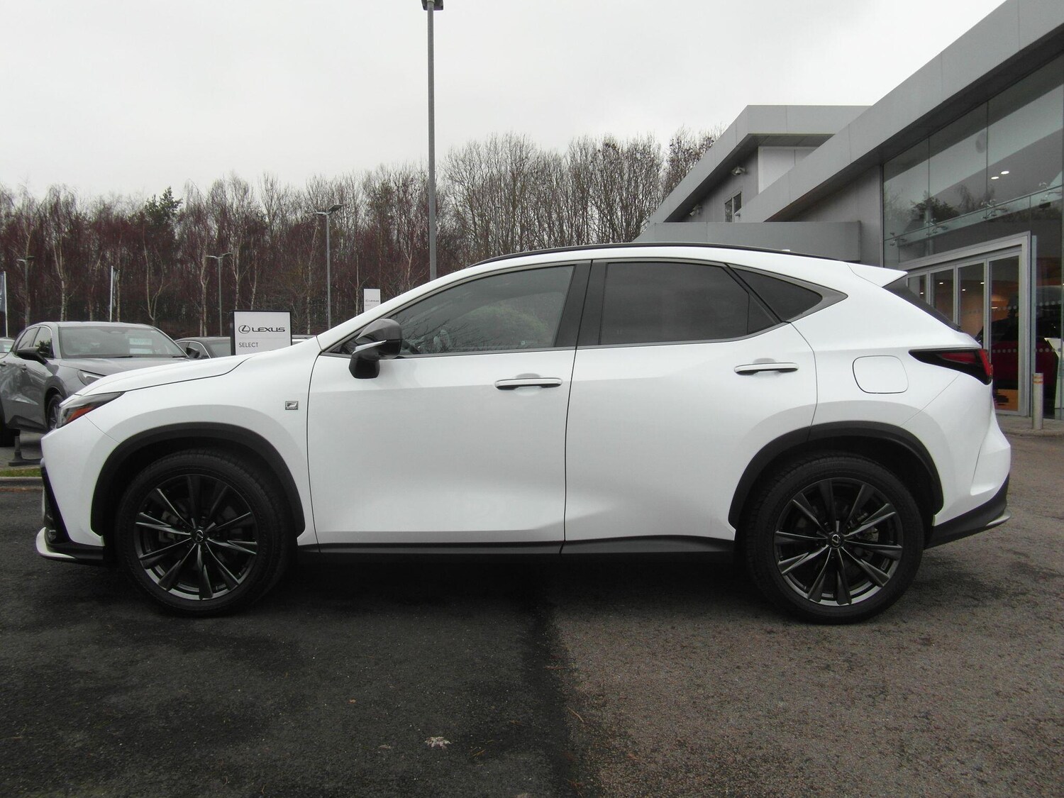 Used Lexus NX for sale - 77425964: Photo 9