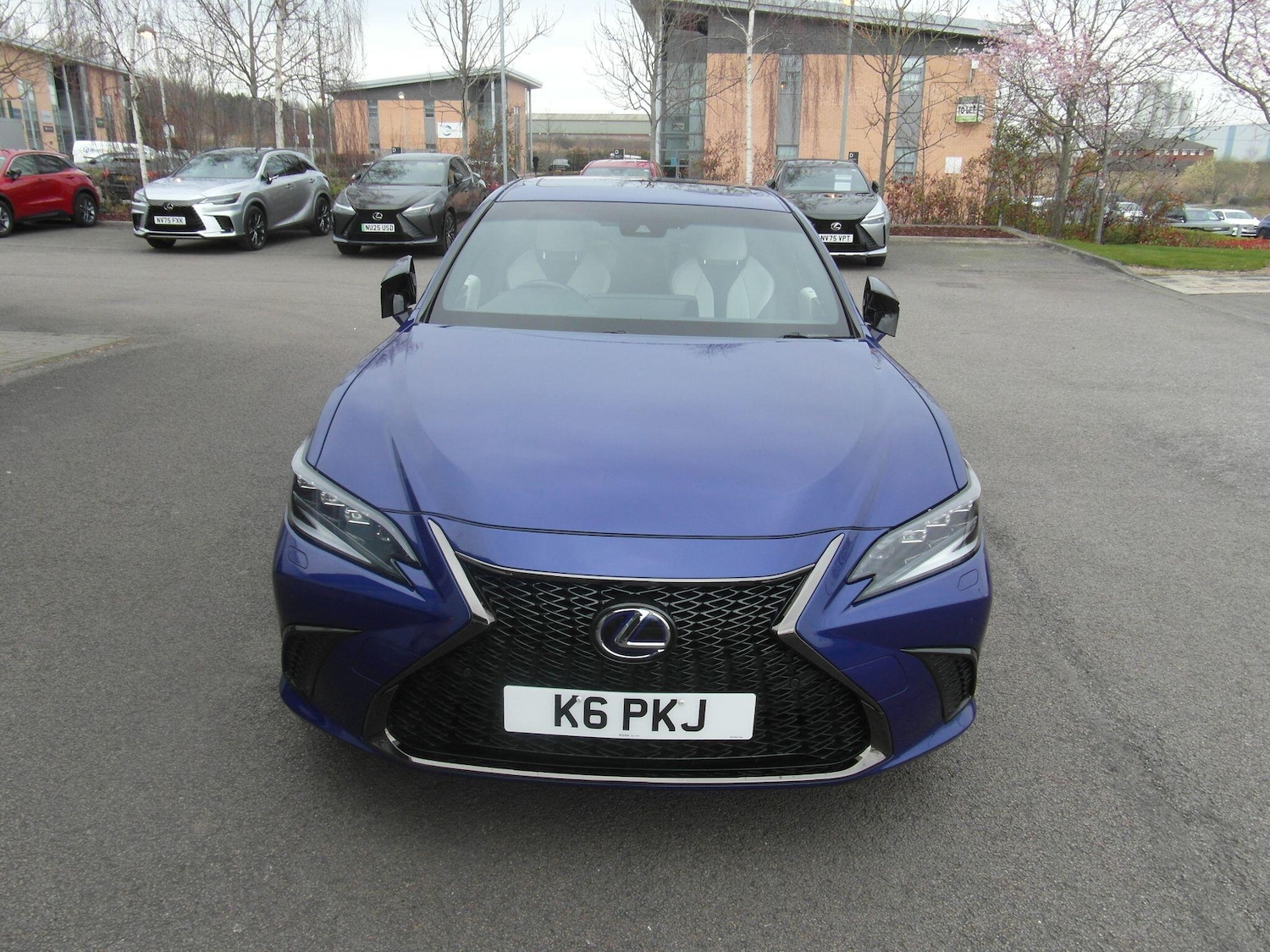 Used Lexus ES for sale - 77957844: Photo 12