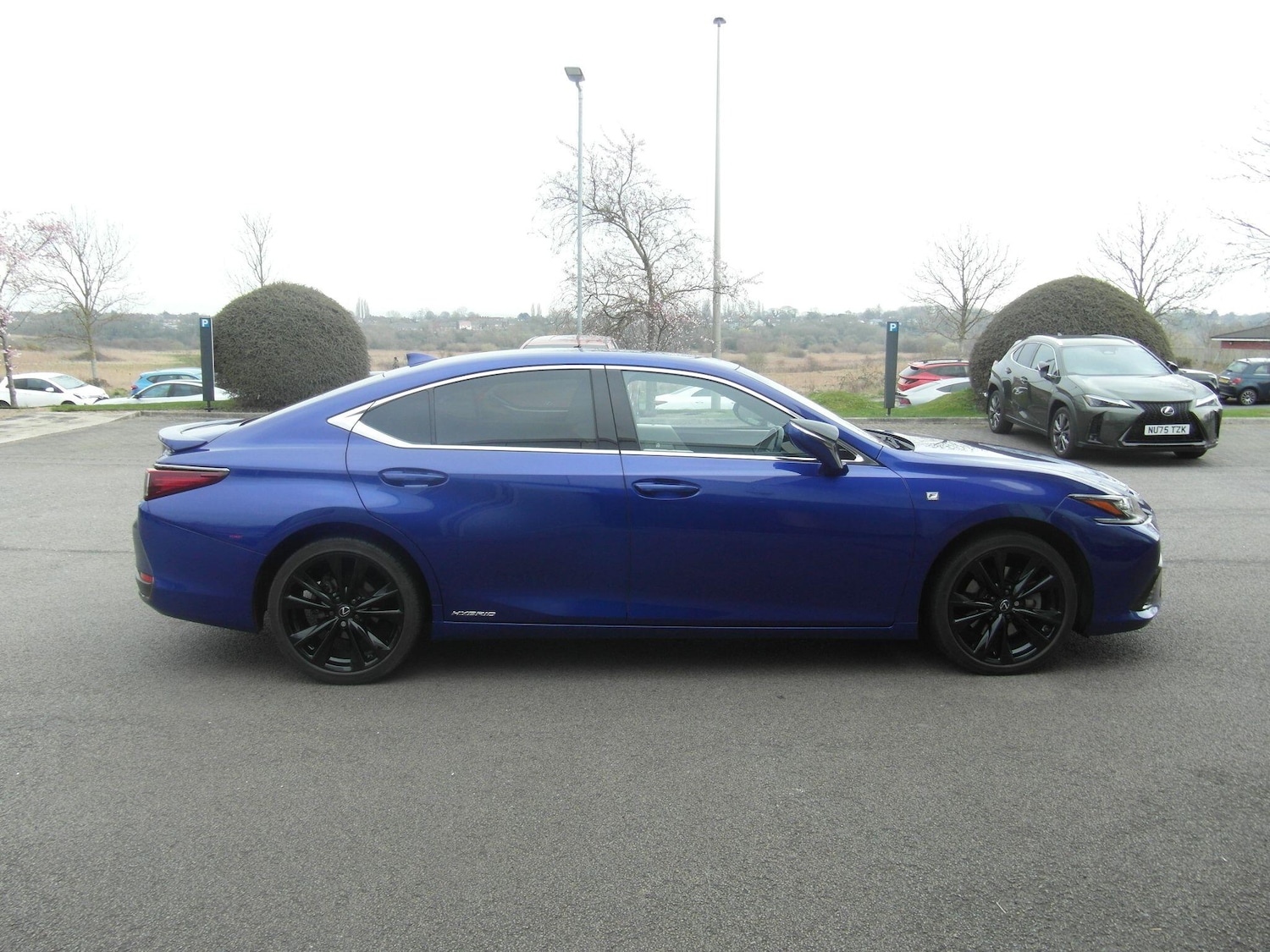 Used Lexus ES for sale - 77957844: Photo 23