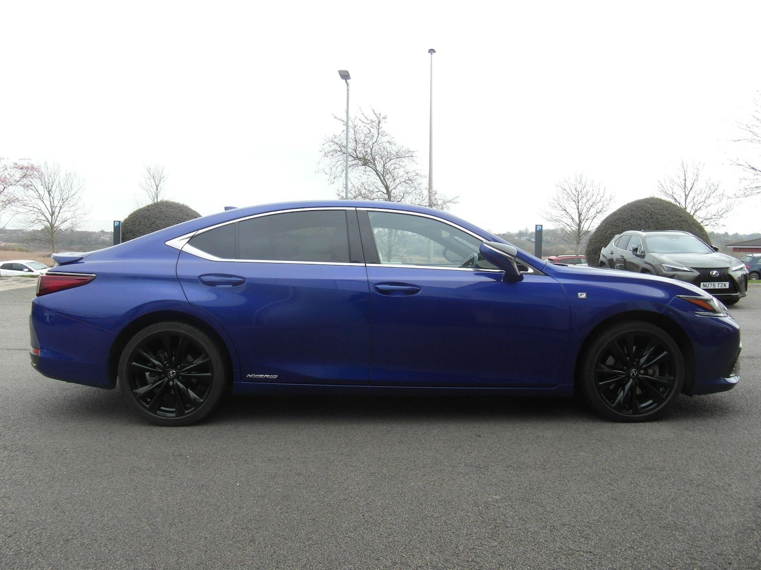 Used Lexus ES for sale - 77957844: Photo 24