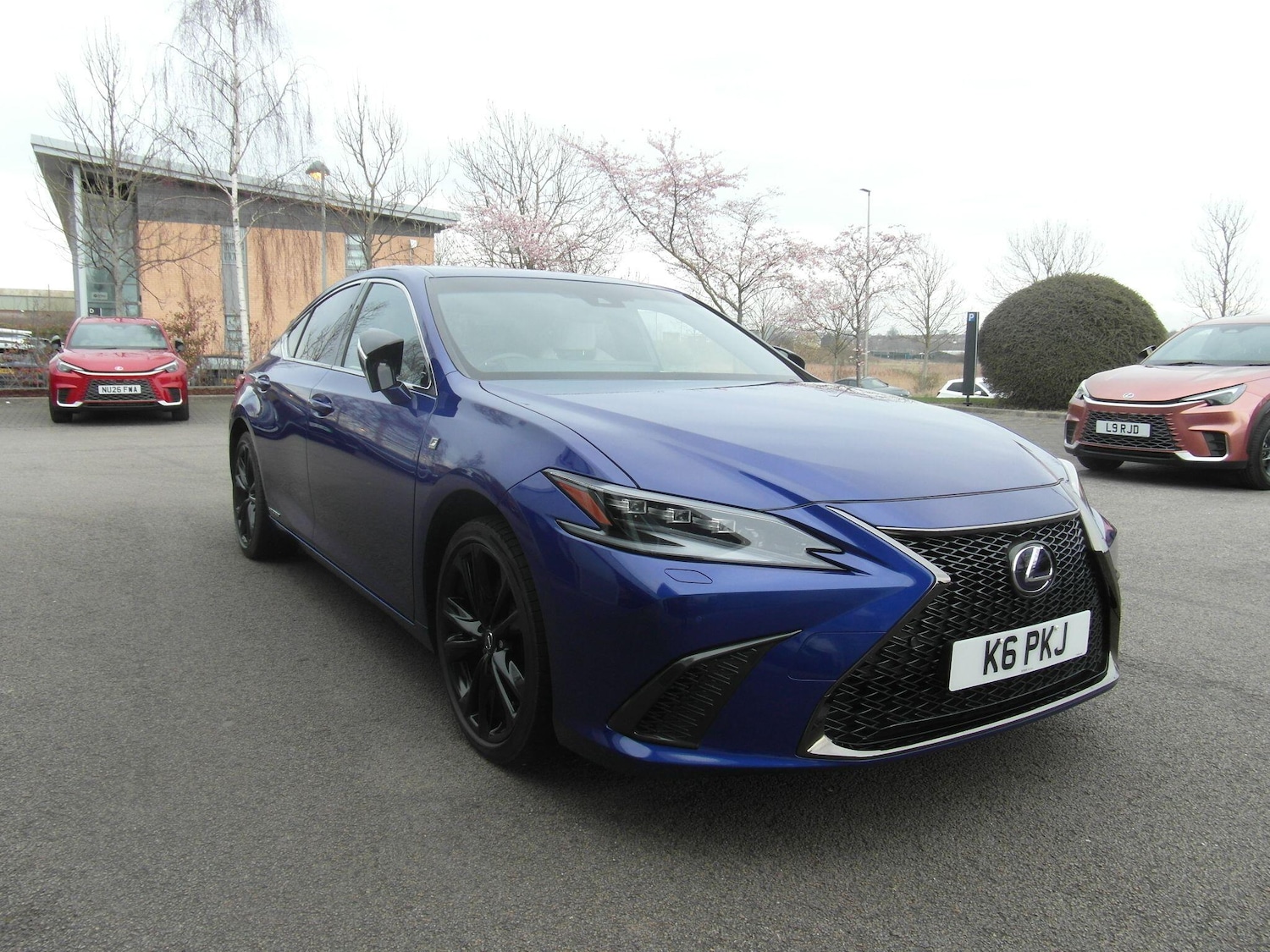 Used Lexus ES for sale - 77957844: Photo 8