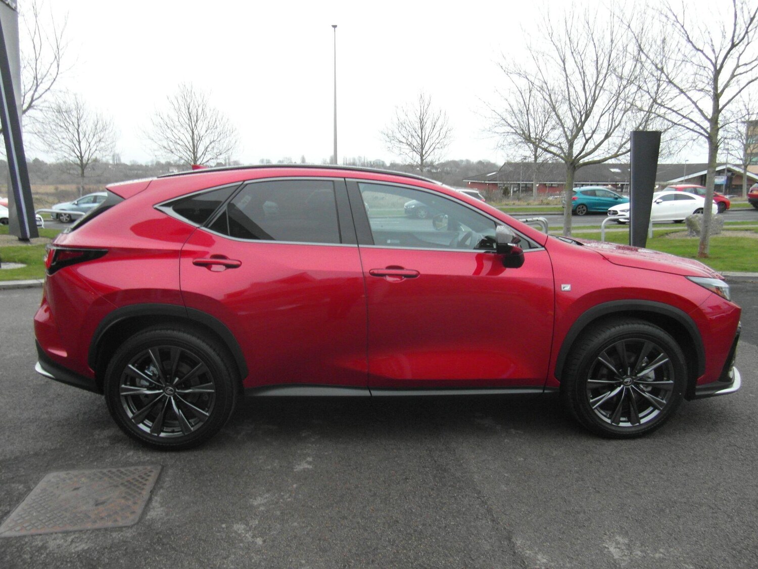 Used Lexus NX for sale - 77671017: Photo 10