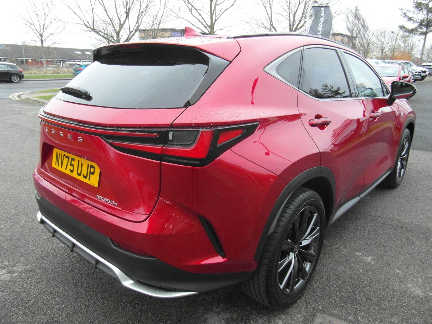 Used Lexus NX for sale - 77671017: Photo 11