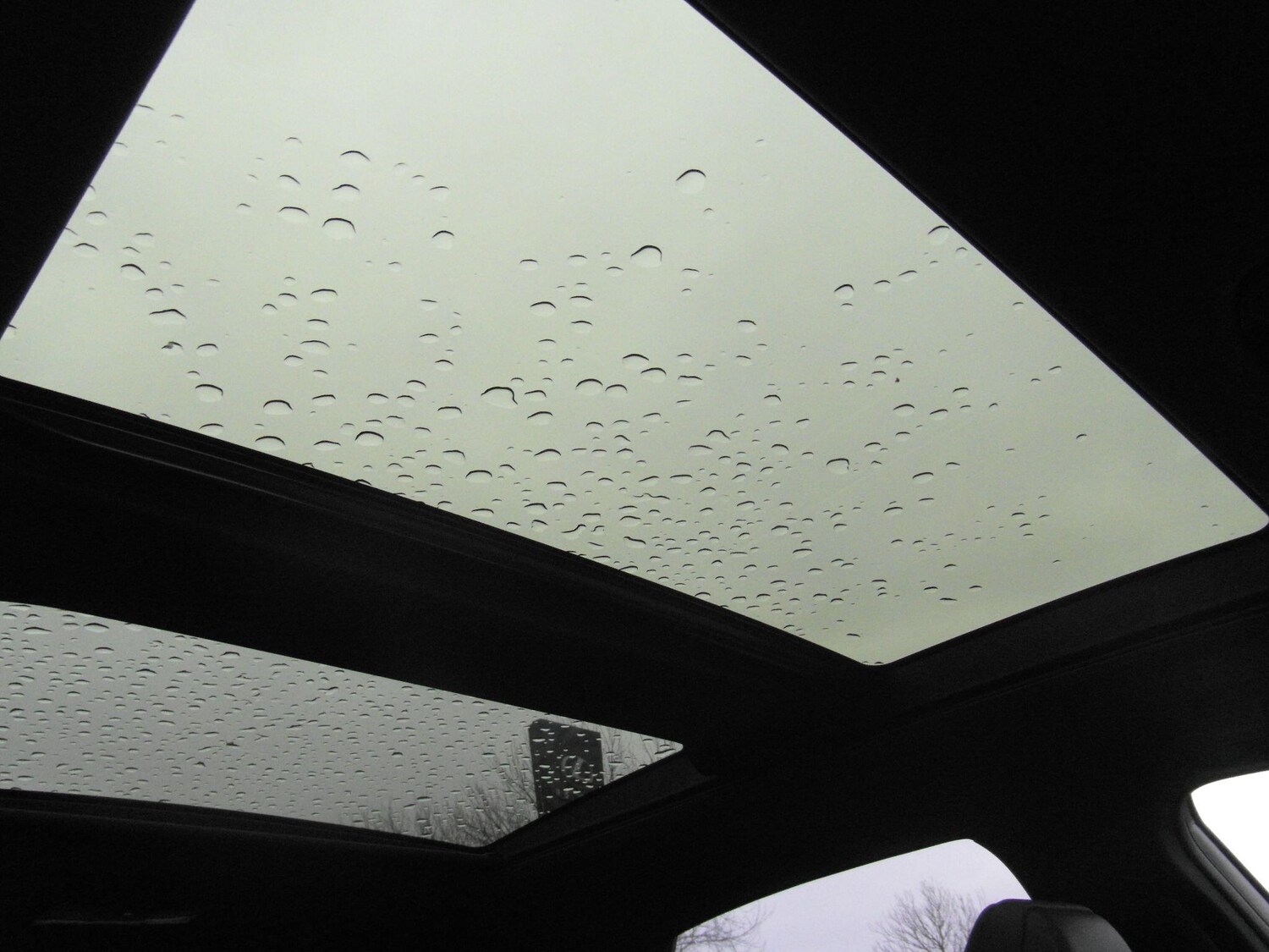 Used Lexus NX for sale - 77671017: Photo 29