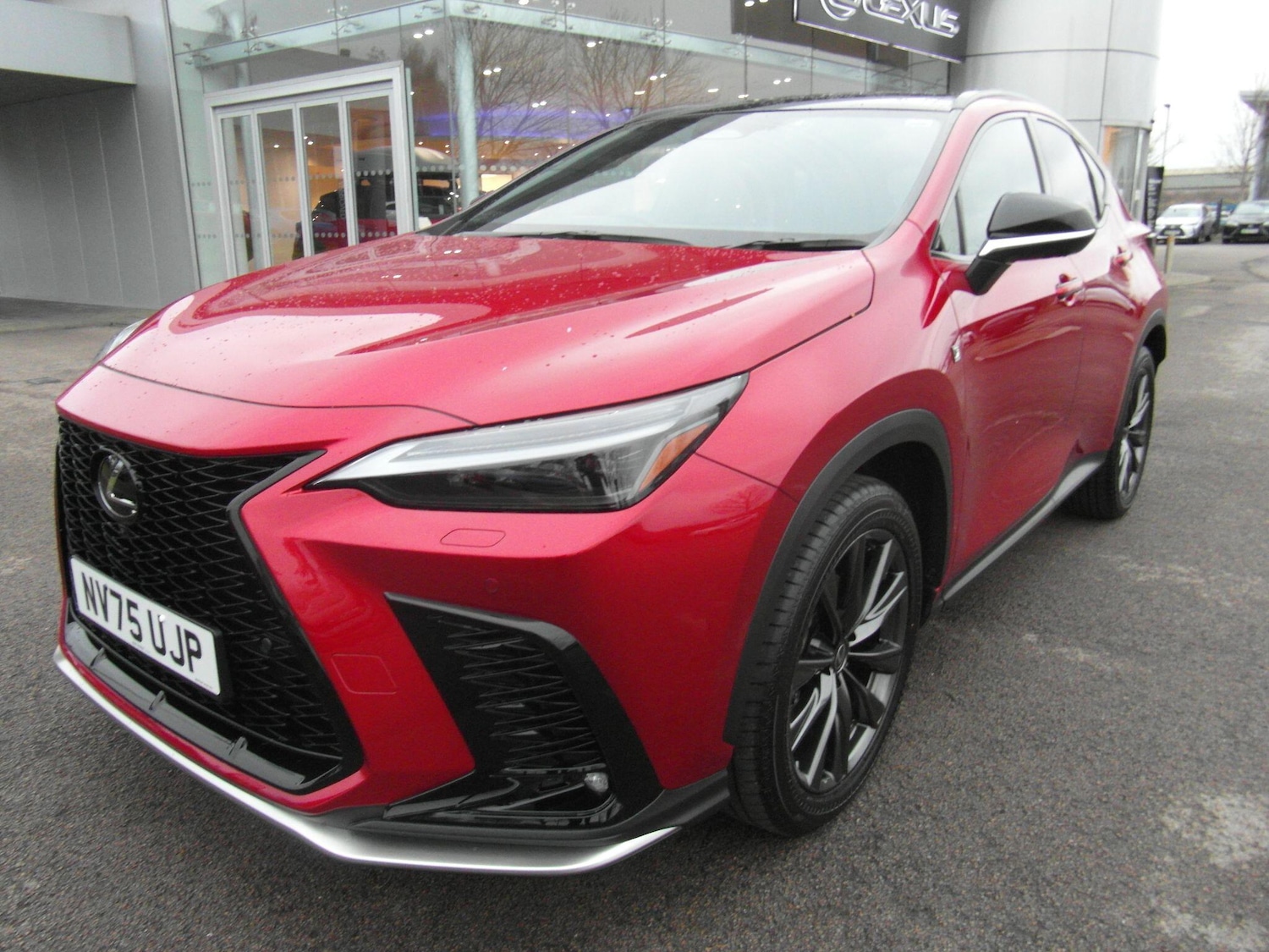 Used Lexus NX for sale - 77671017: Photo 5