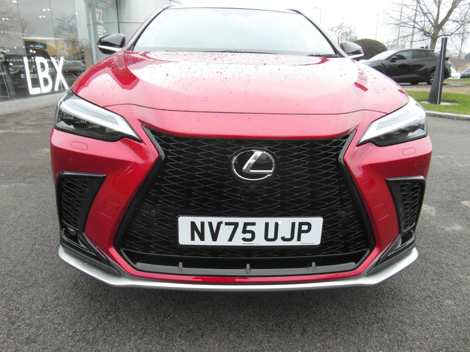 Used Lexus NX for sale - 77671017: Photo 7