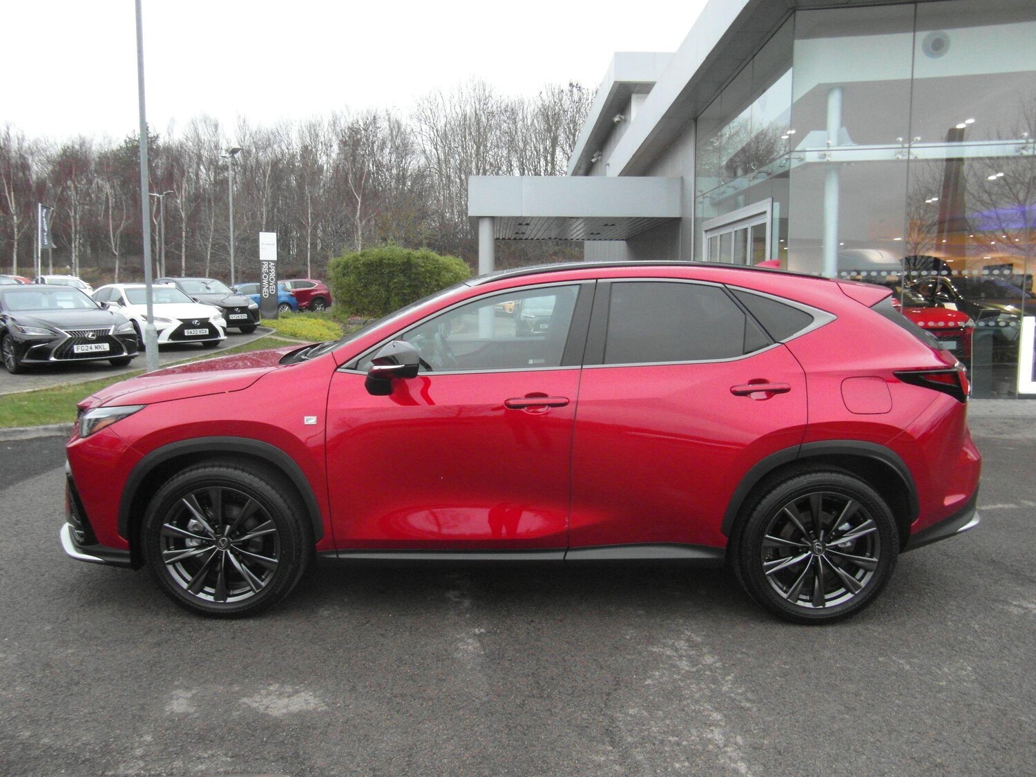 Used Lexus NX for sale - 77671017: Photo 8