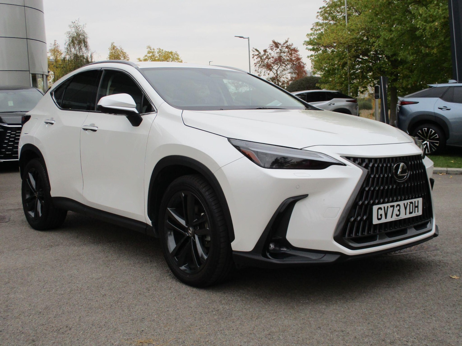 Used Lexus NX 2024 for sale - 76270945: Photo 1