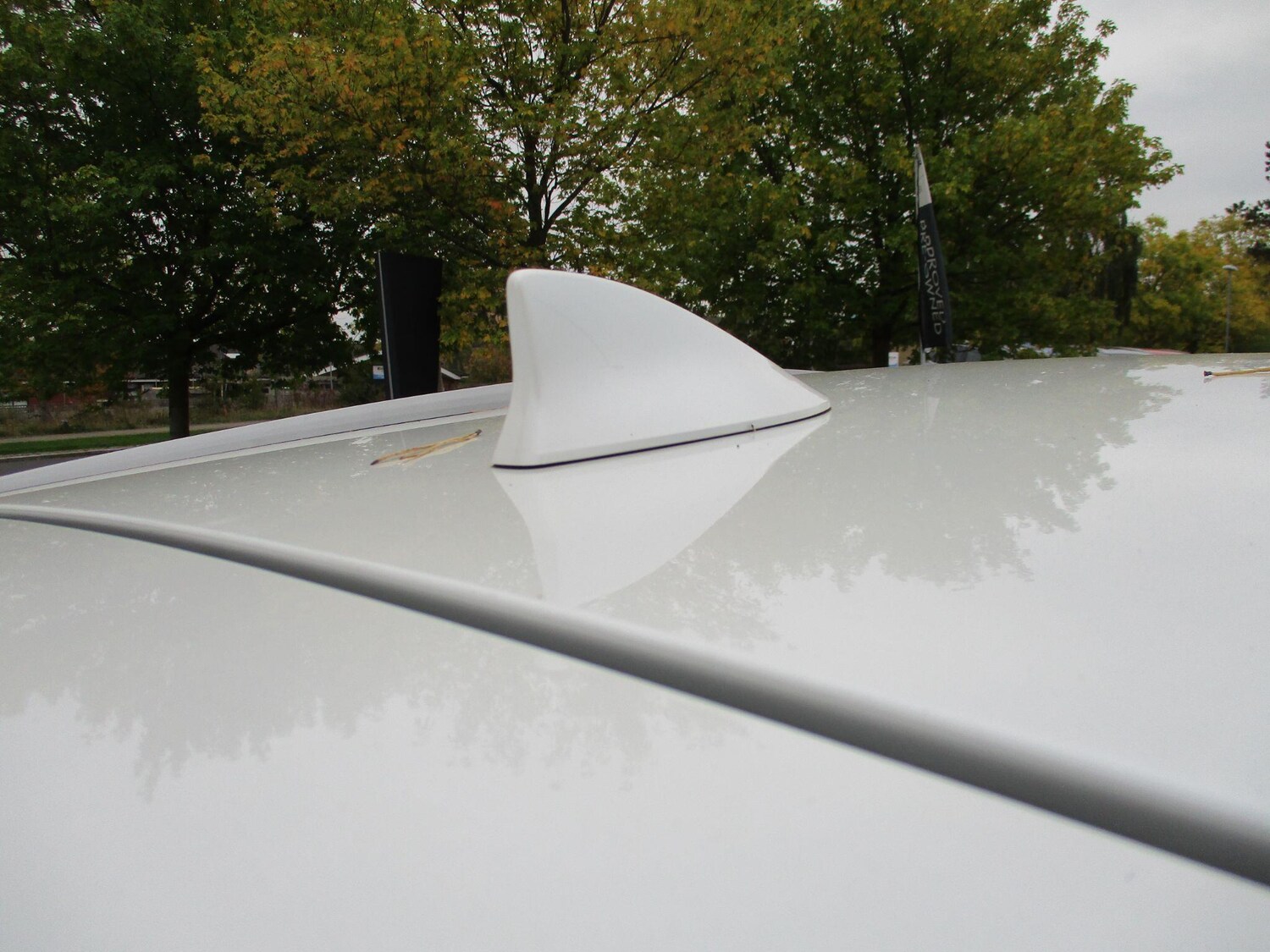 Used Lexus NX 2024 for sale - 76270945: Photo 22