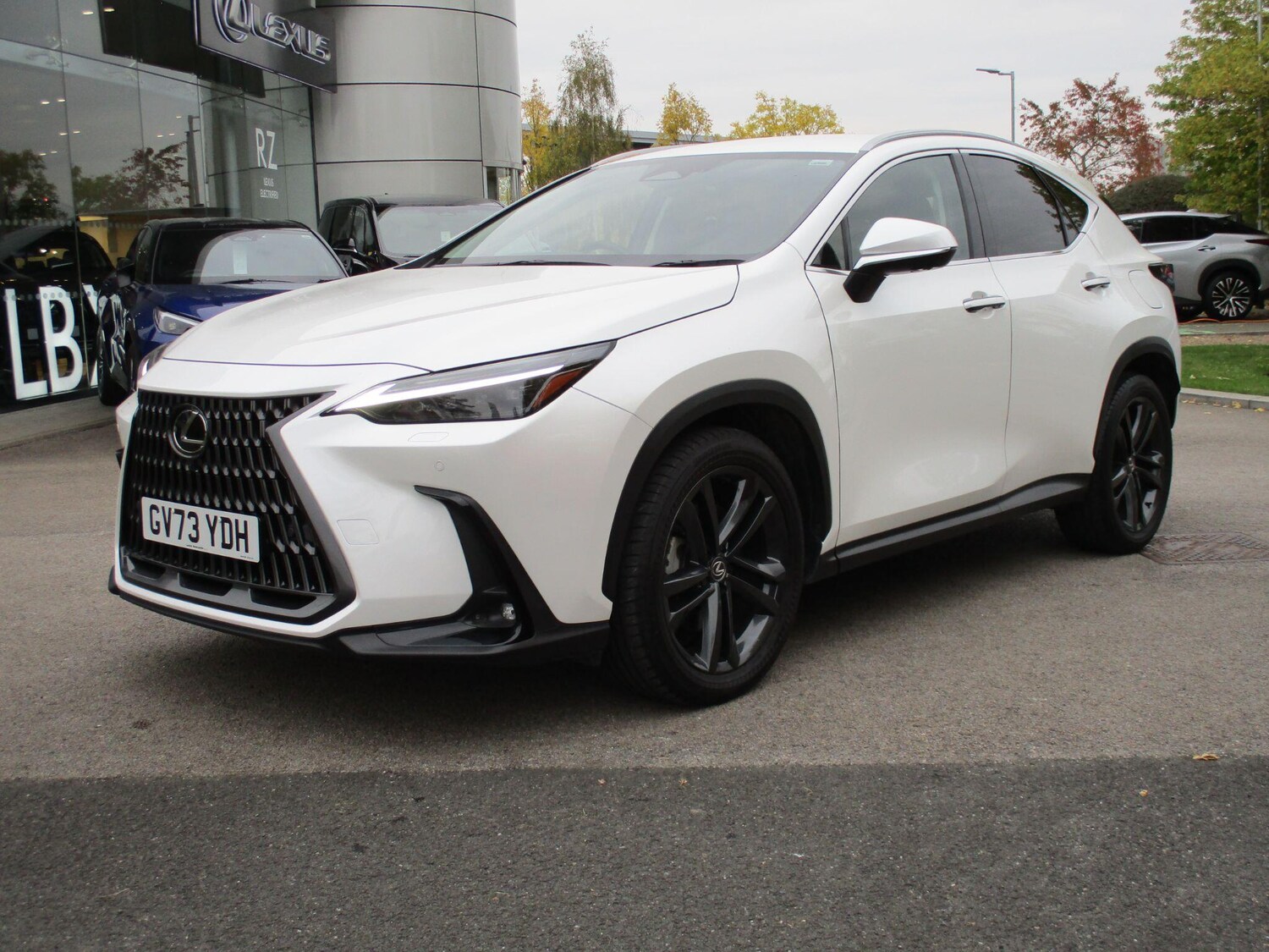 Used Lexus NX 2024 for sale - 76270945: Photo 9