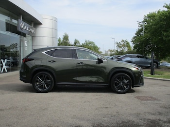 Used Lexus NX 2024 for sale - 75578416: Photo