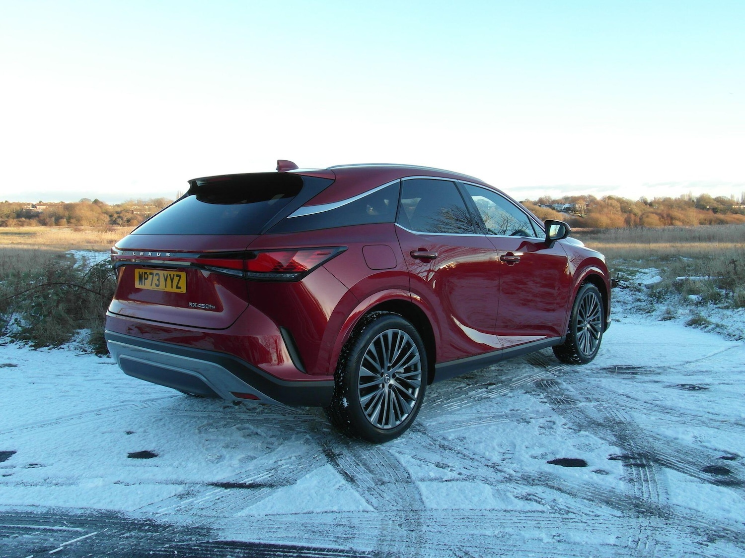 Used Lexus RX 2023 for sale - 77097882: Photo 8