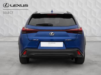 Used Lexus UX 2024 for sale - 79846890: Photo