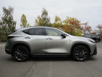 Used Lexus NX 2025 for sale - 76314743: Photo 4
