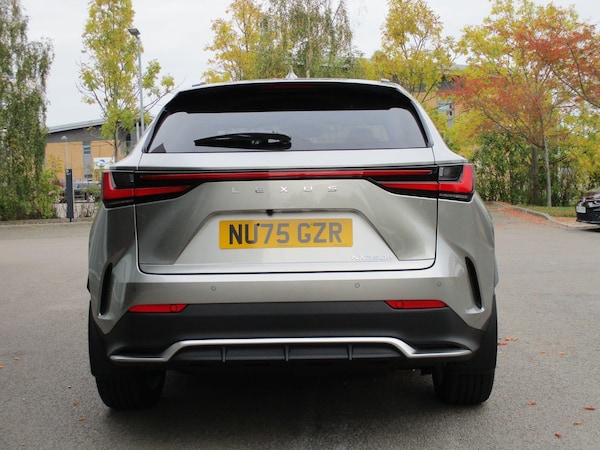 Used Lexus NX 2025 for sale - 76314743: Photo 6