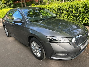 Used Skoda Octavia 2022 for sale - 79427739: Photo
