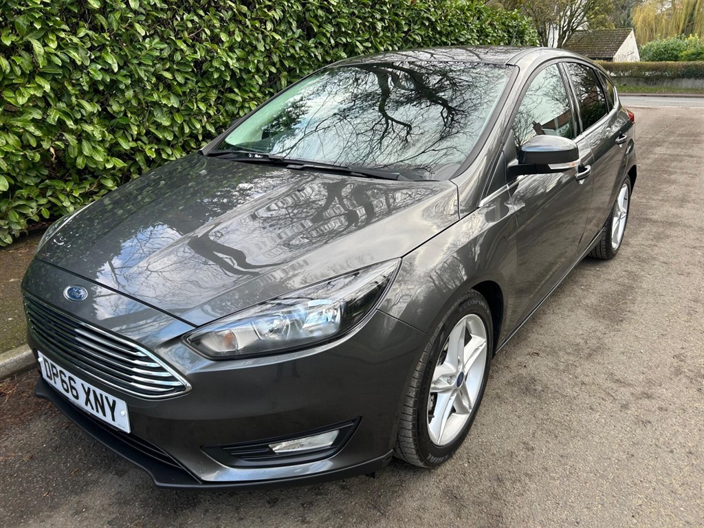 Used Ford Focus 2016 for sale - 77795228: Photo 11