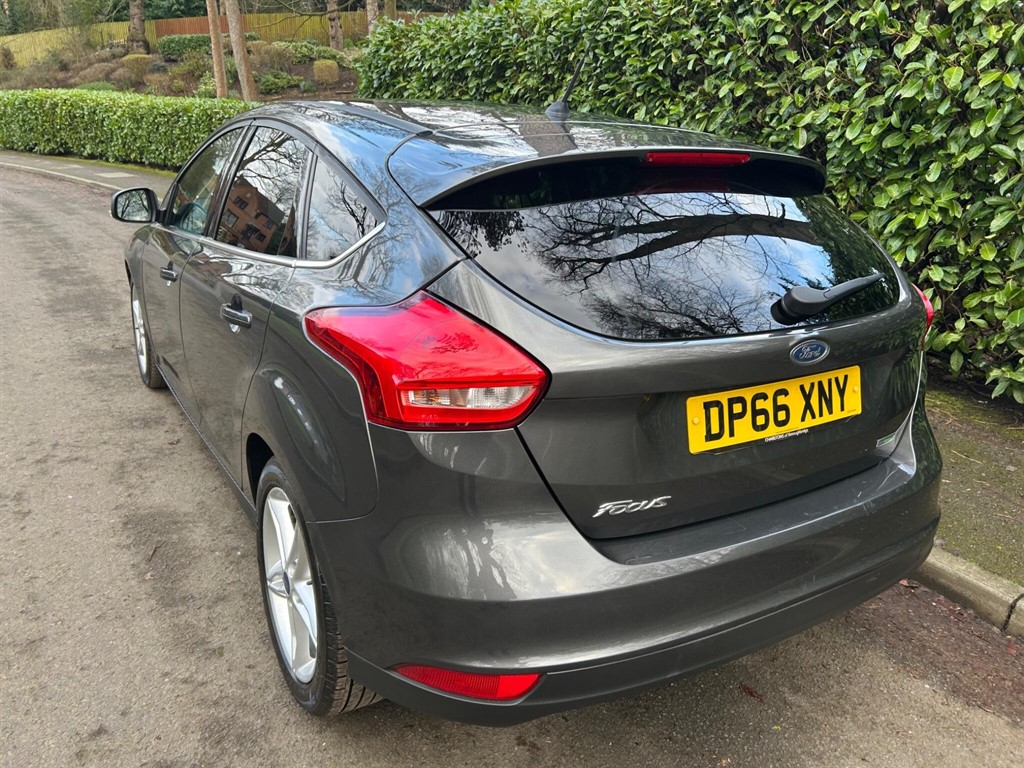 Used Ford Focus 2016 for sale - 77795228: Photo 12