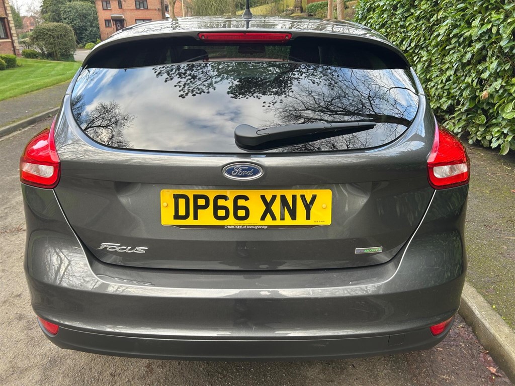 Used Ford Focus 2016 for sale - 77795228: Photo 15