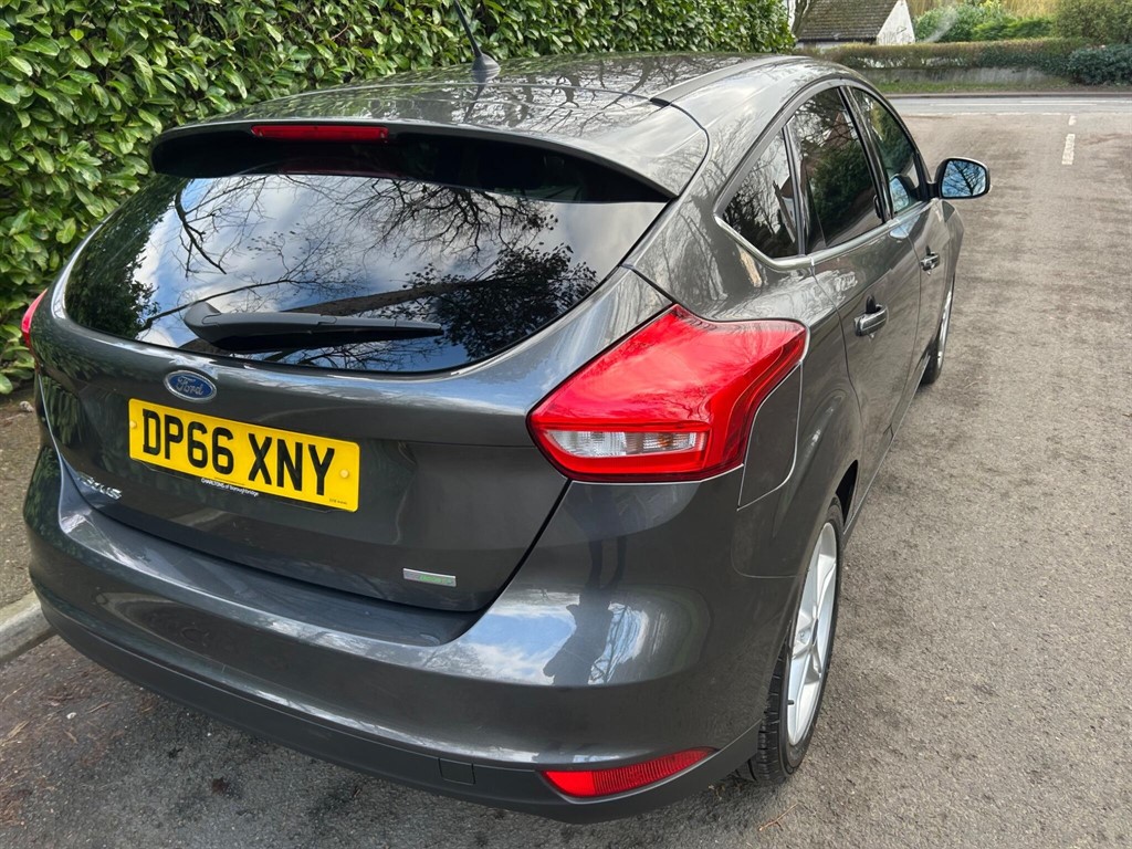 Used Ford Focus 2016 for sale - 77795228: Photo 17