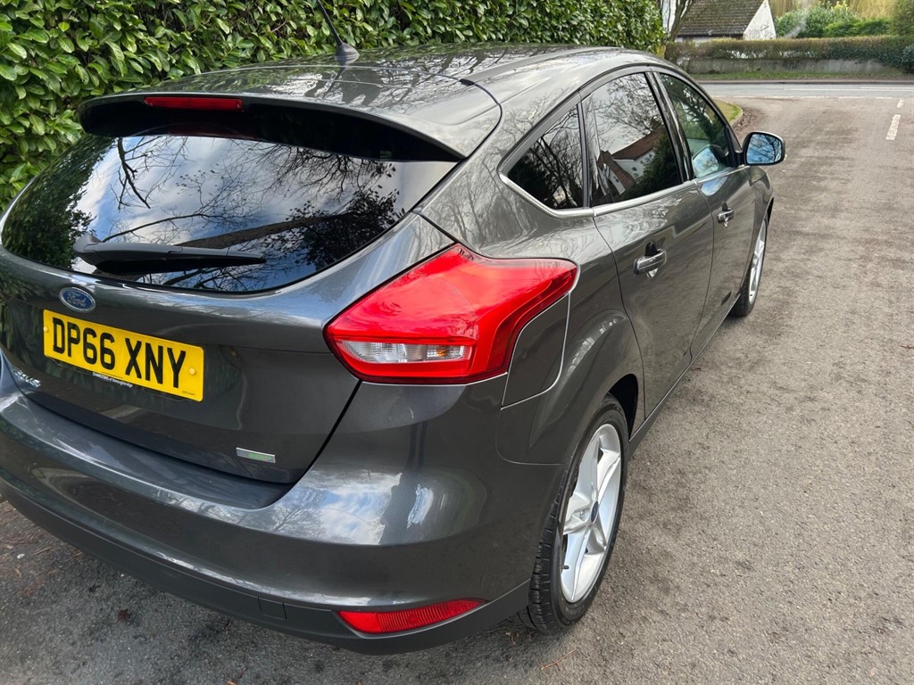 Used Ford Focus 2016 for sale - 77795228: Photo 18