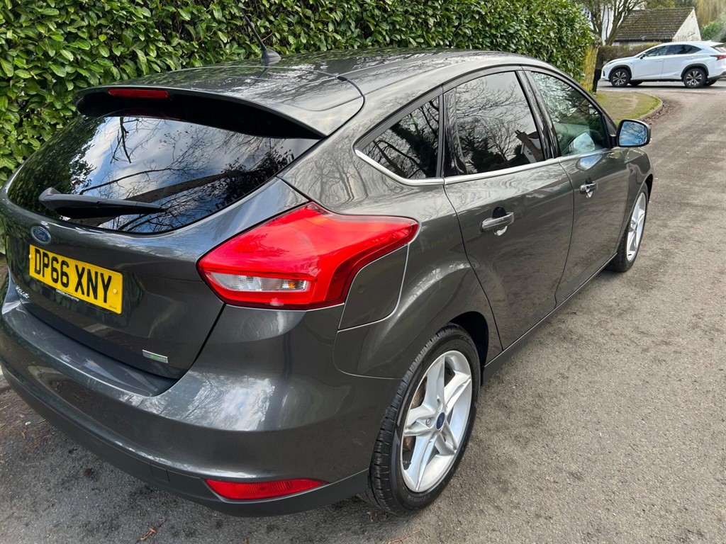 Used Ford Focus 2016 for sale - 77795228: Photo 19