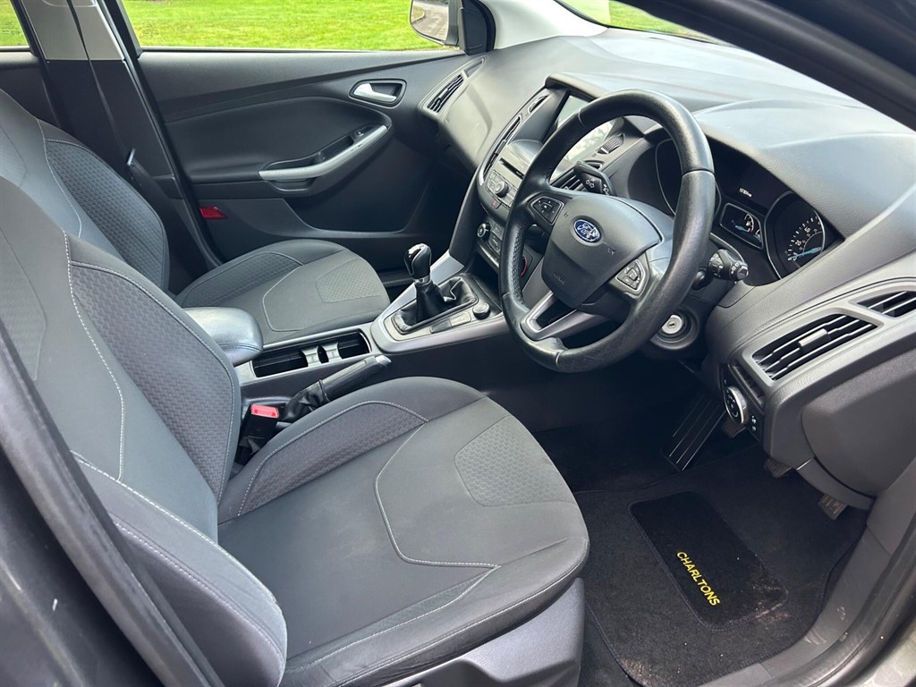 Used Ford Focus 2016 for sale - 77795228: Photo 23