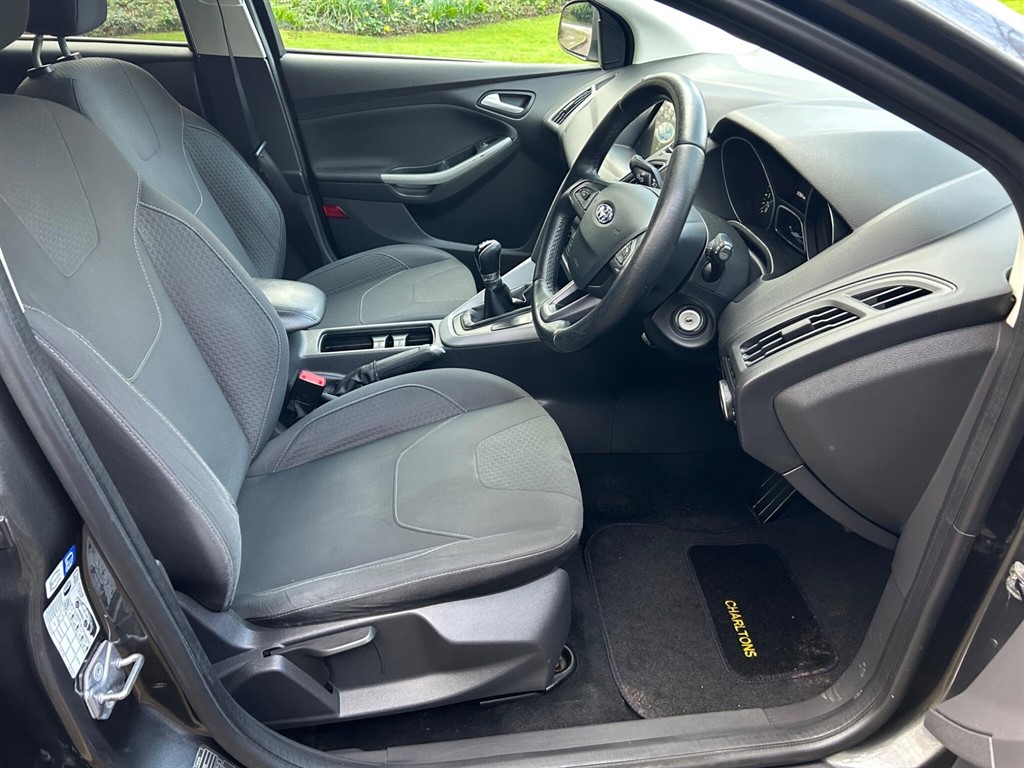 Used Ford Focus 2016 for sale - 77795228: Photo 24