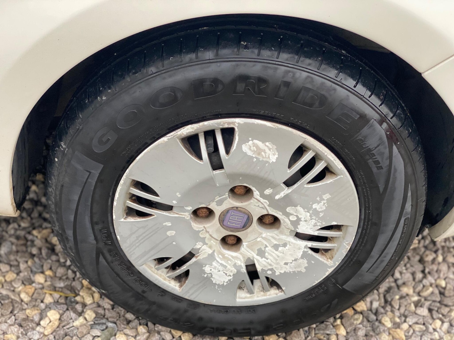 Used Fiat Panda 2010 for sale - 76409469: Photo 39