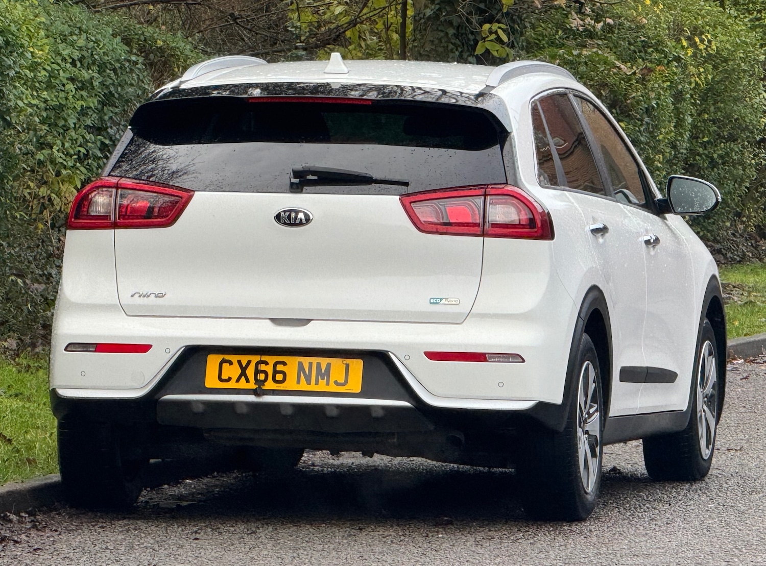 Used Kia Niro 2016 for sale - 76884789: Photo 3