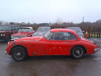 Used Jaguar XK 1958 for sale - 77517352: Photo