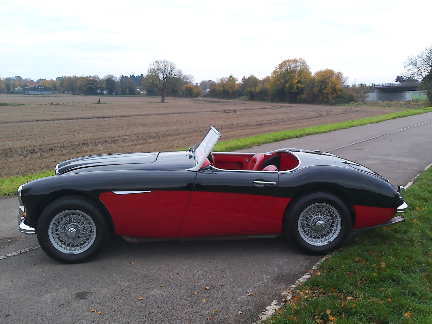 Used Austin Healey 1959 for sale - 76491027: Photo 2