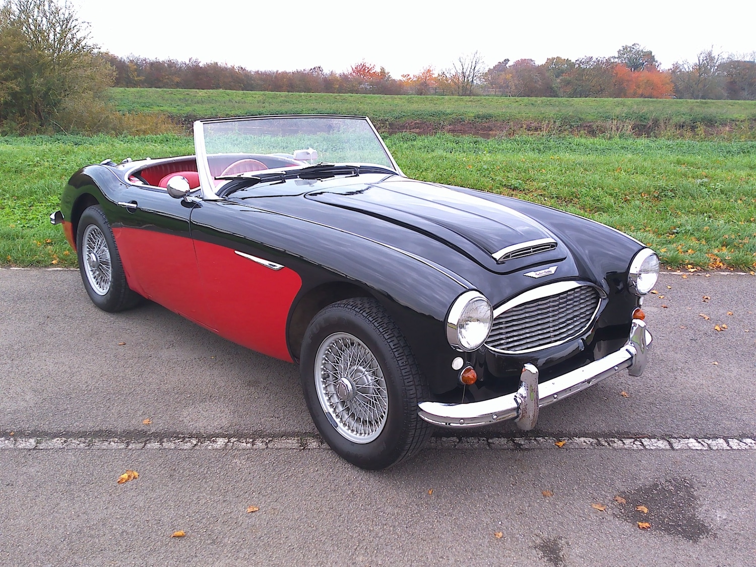 Used Austin Healey 1959 for sale - 76491027: Photo 6