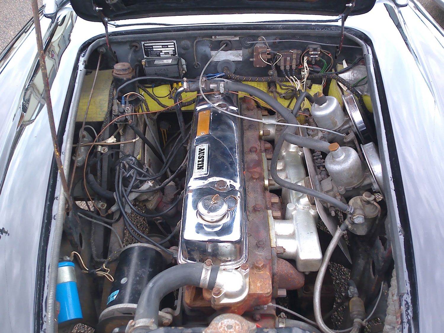 Used Austin Healey 1959 for sale - 76491027: Photo 8