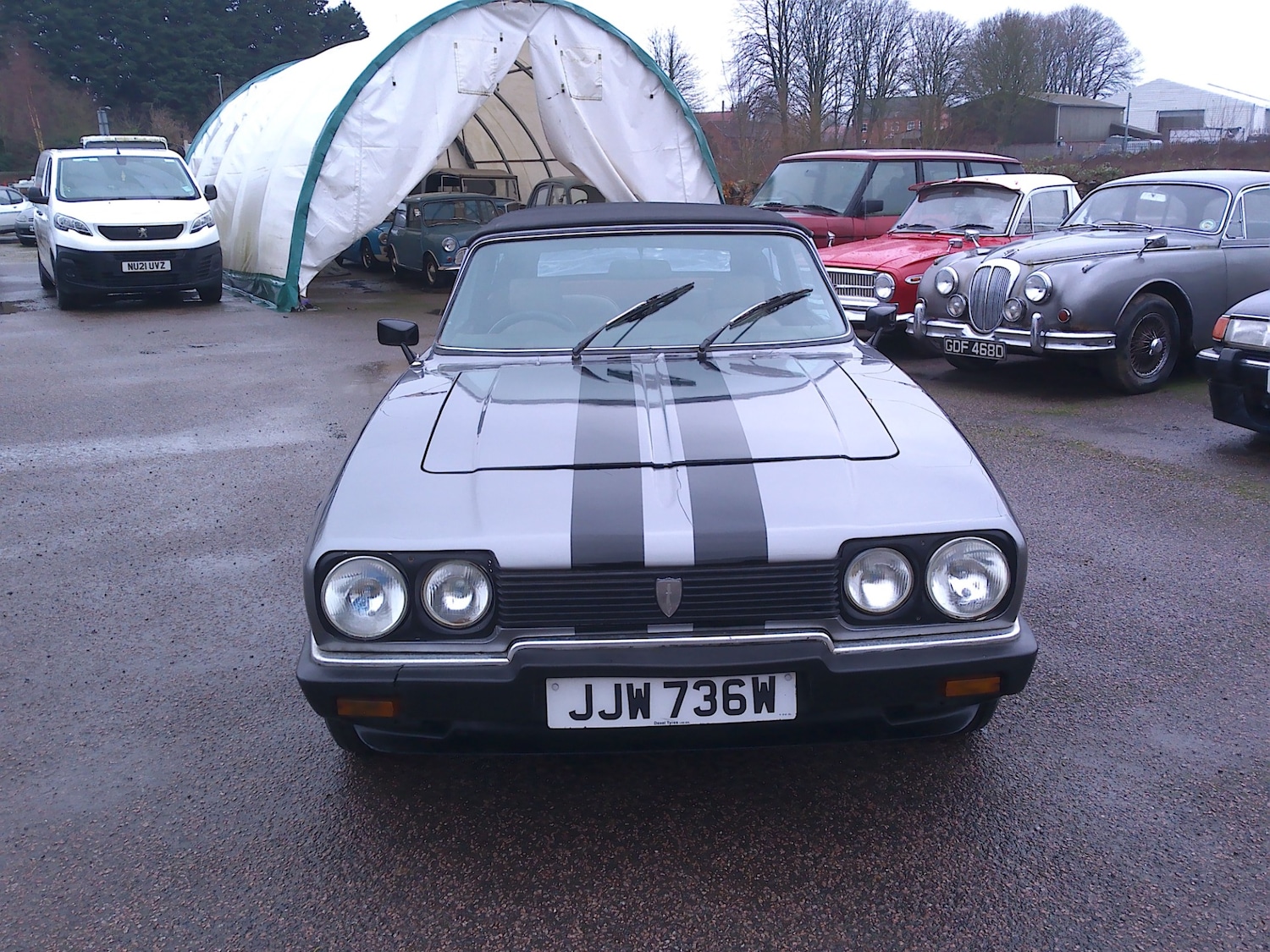 Used Reliant Scimitar 1981 for sale - 77296565: Photo 7