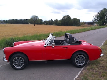 Used MG Midget 1973 for sale - 75282897: Photo
